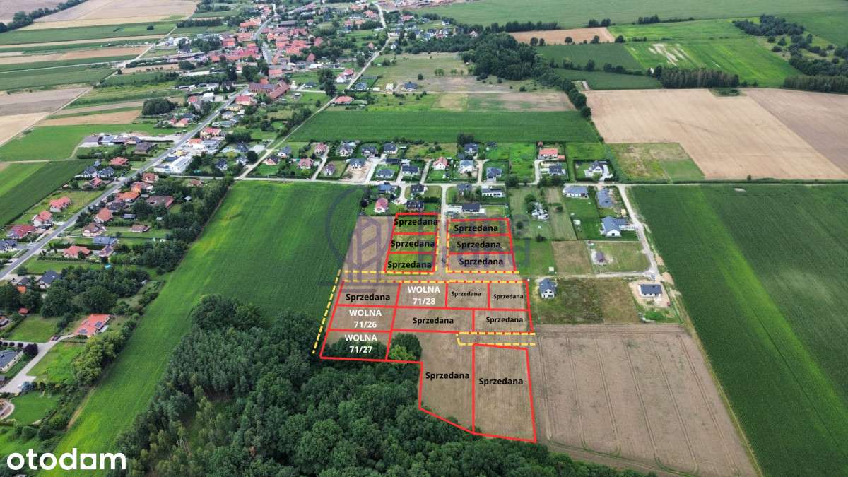 Szczytkowice| Przy Lesie| mpzp| - Pełny obrazek: 2/3