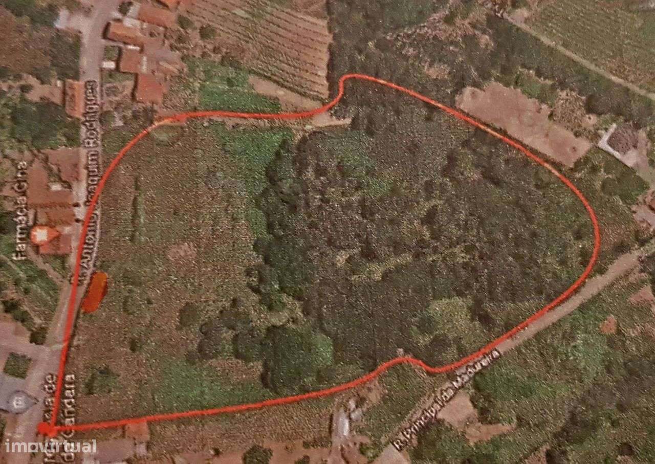 Quinta na Bairrada-21