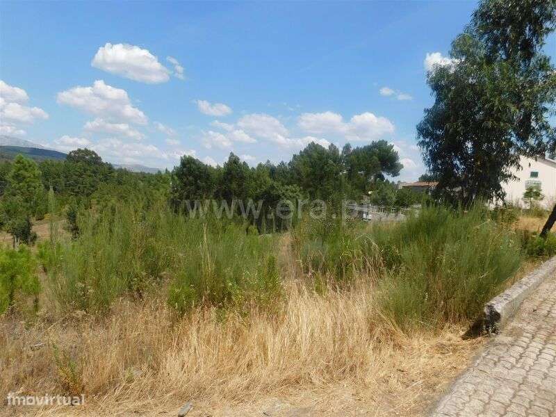 Terreno / Covilhã, Barco - Grande imagem: 2/13