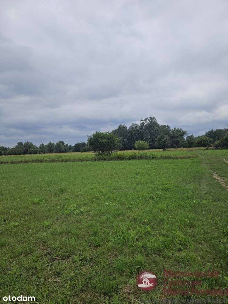 Działka Budowlano-Rolna Wilków Polski - Pełny obrazek: 5/7