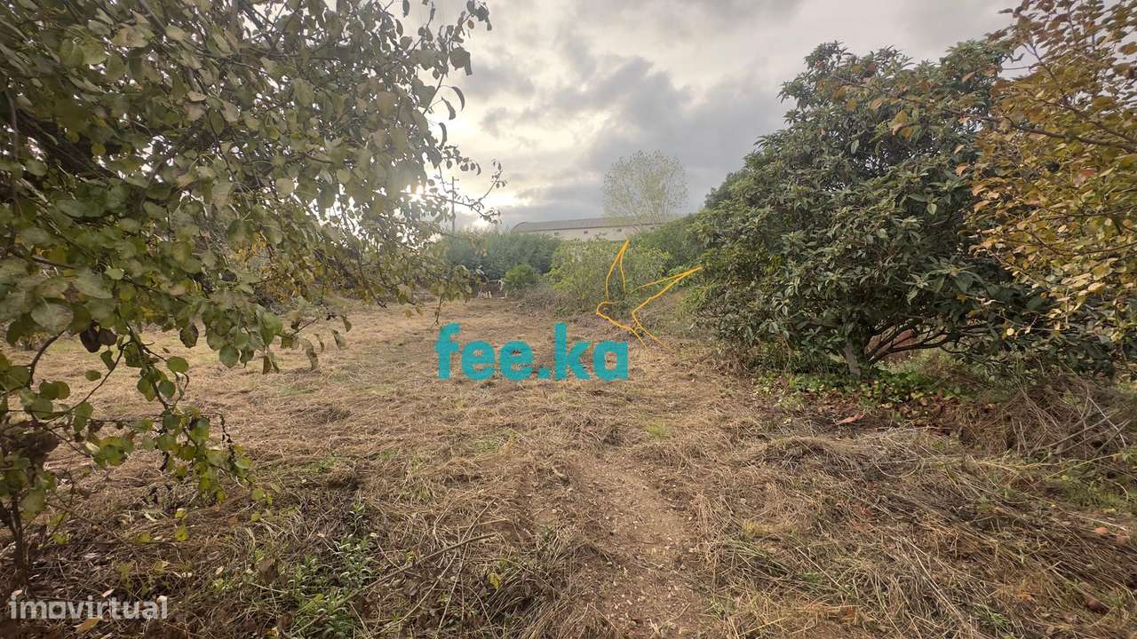 Quintinha - Grande imagem: 2/48