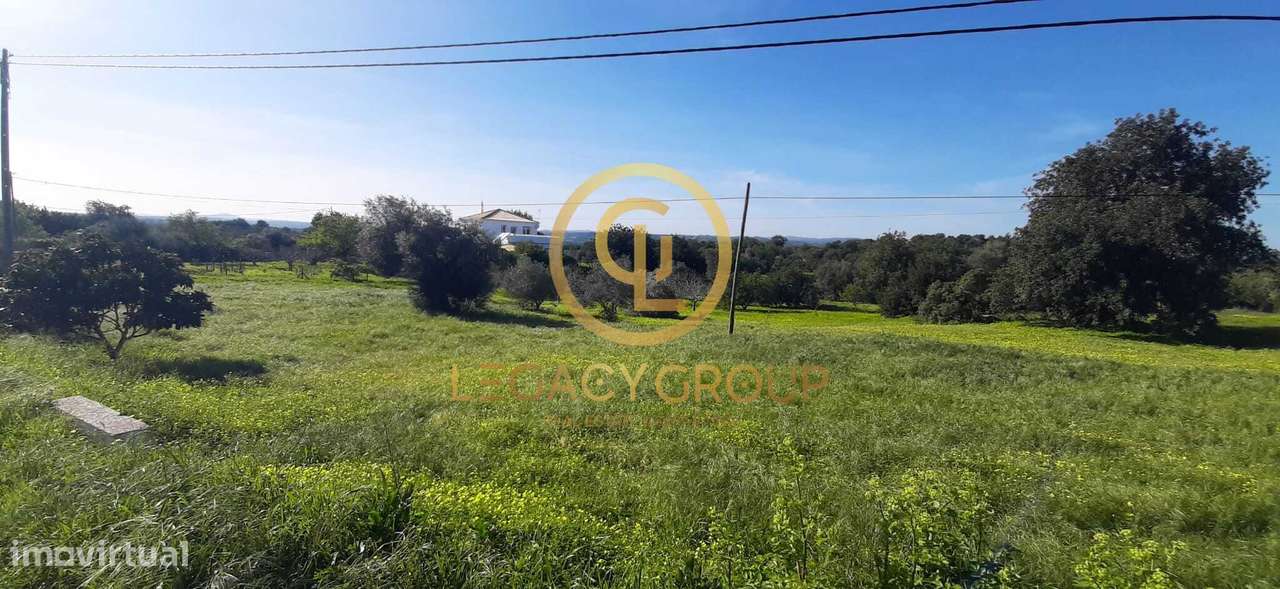 Terreno Rústico – Sítio dos Alhos, Conceição de Tavira-6