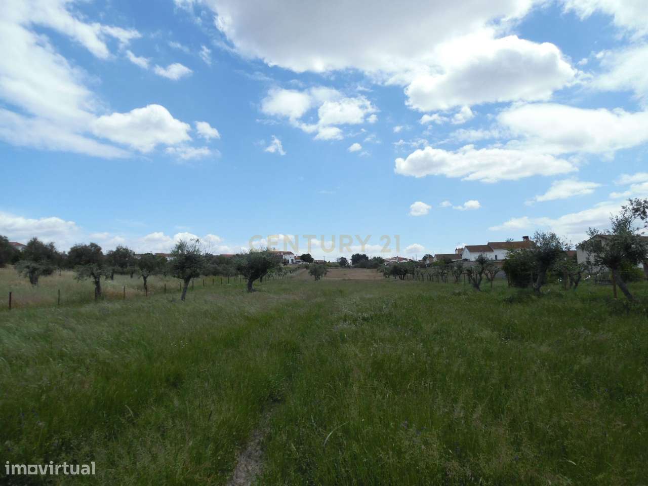 Quinta em Capelins,  Alandroal - Évora,  Oportunidade Única-55