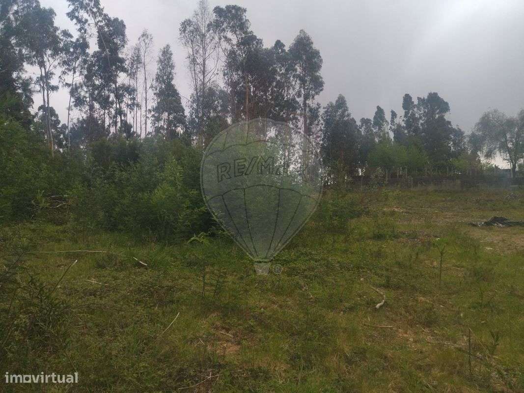 Terreno  para venda - Grande imagem: 3/6