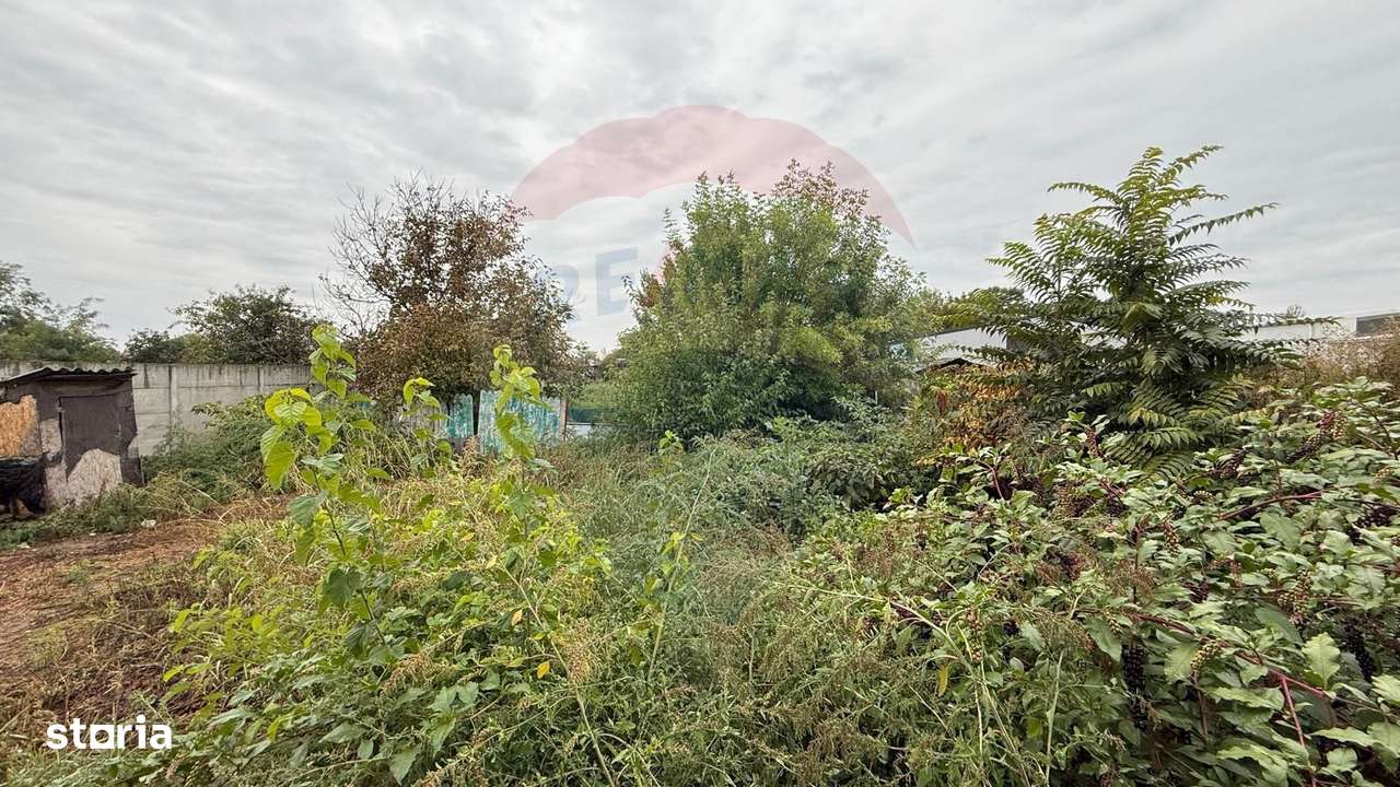 Teren cu Spatiu Comercial Functional Dambovita - Imagine principală: 4/9