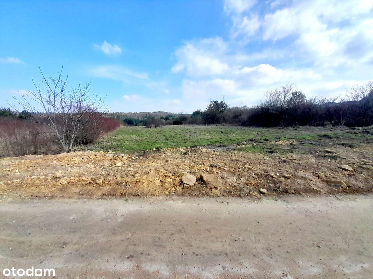 Sprzedam dużą działkę z warunkami zabudowy - Płaza ul. Kossaka-5