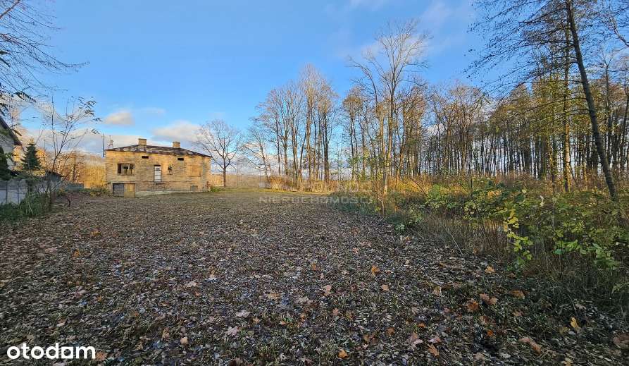 Działka rolno-budowlana z potencjałem w Chotyłowie - Pełny obrazek: 5/12