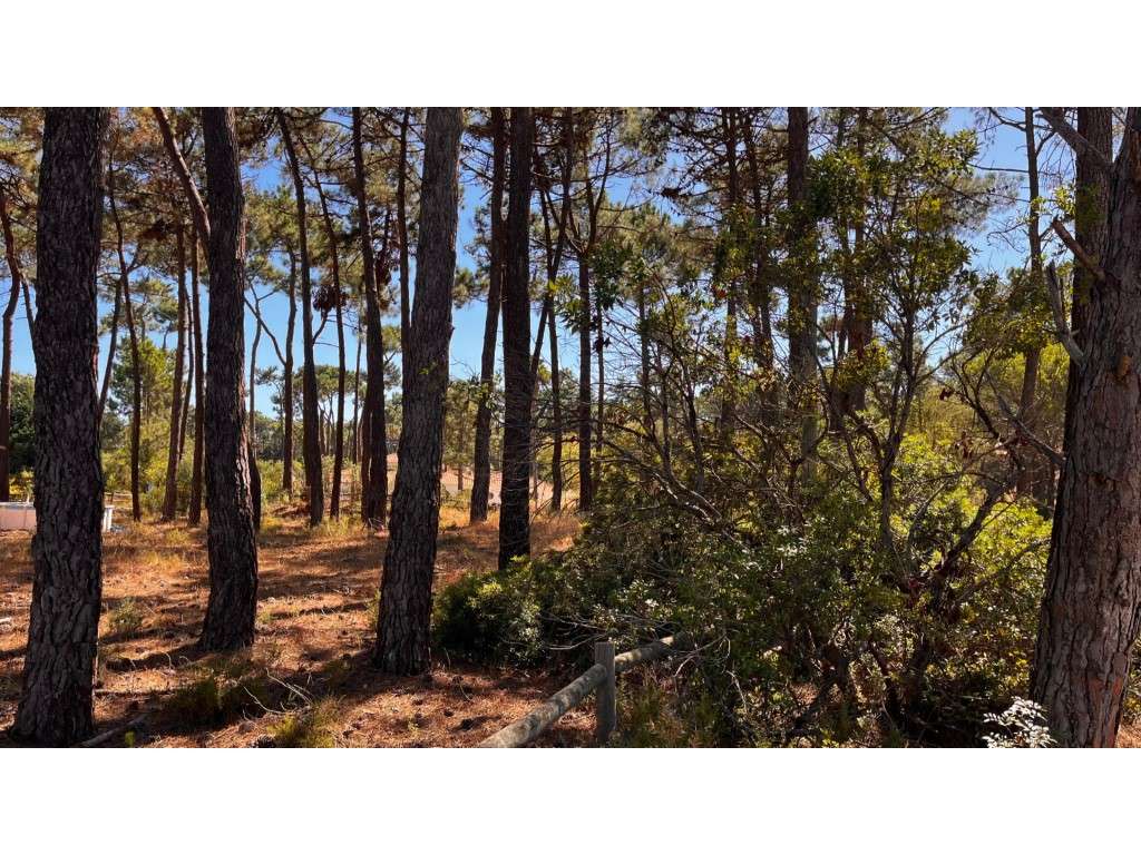 Terreno premium na exclusiva Herdade da Aroeira-8