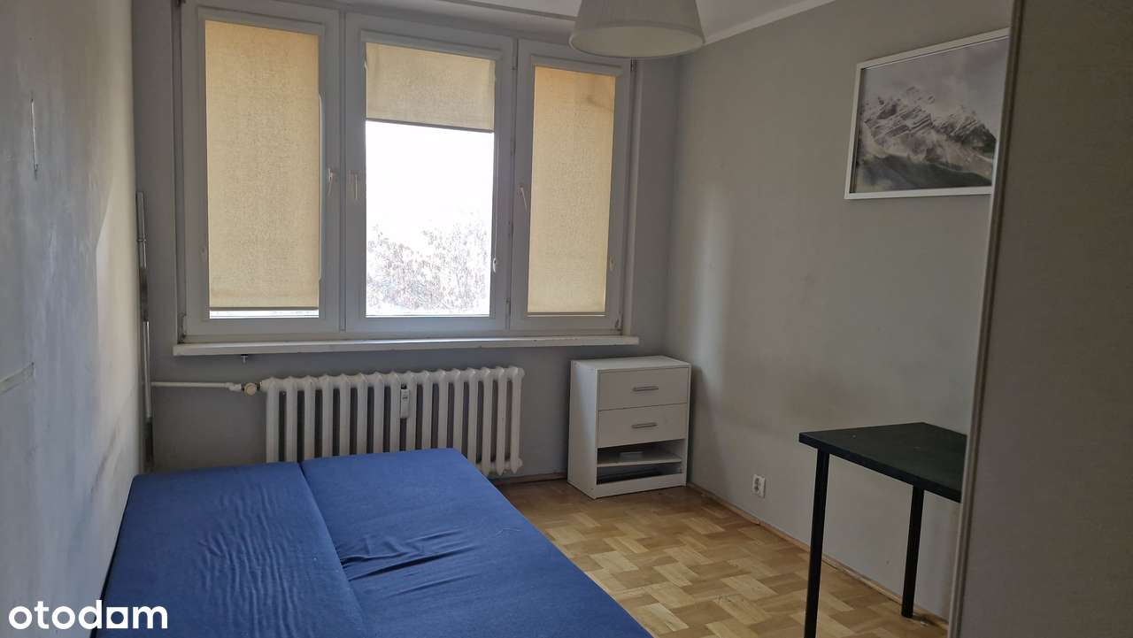 3 oddzielne pokoje, widna kuchnia, łazienka z oknem, WC piwnica loggia-2