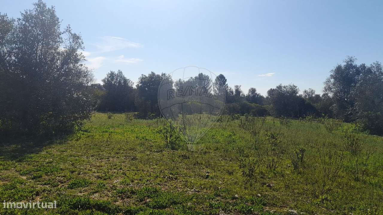 Terreno  para venda - Grande imagem: 3/8