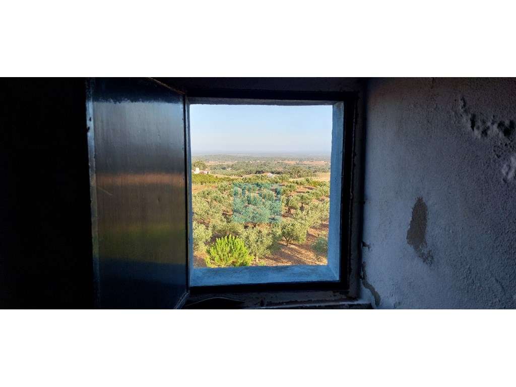 MOINHO - Grande imagem: 2/30