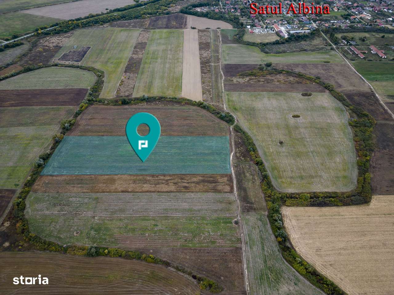 Teren agricol de 34.500mp în Albina, Județul Timiș - Imagine principală: 1/6