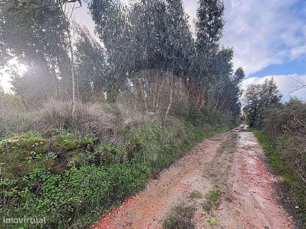 Terreno  para venda - Grande imagem: 4/5