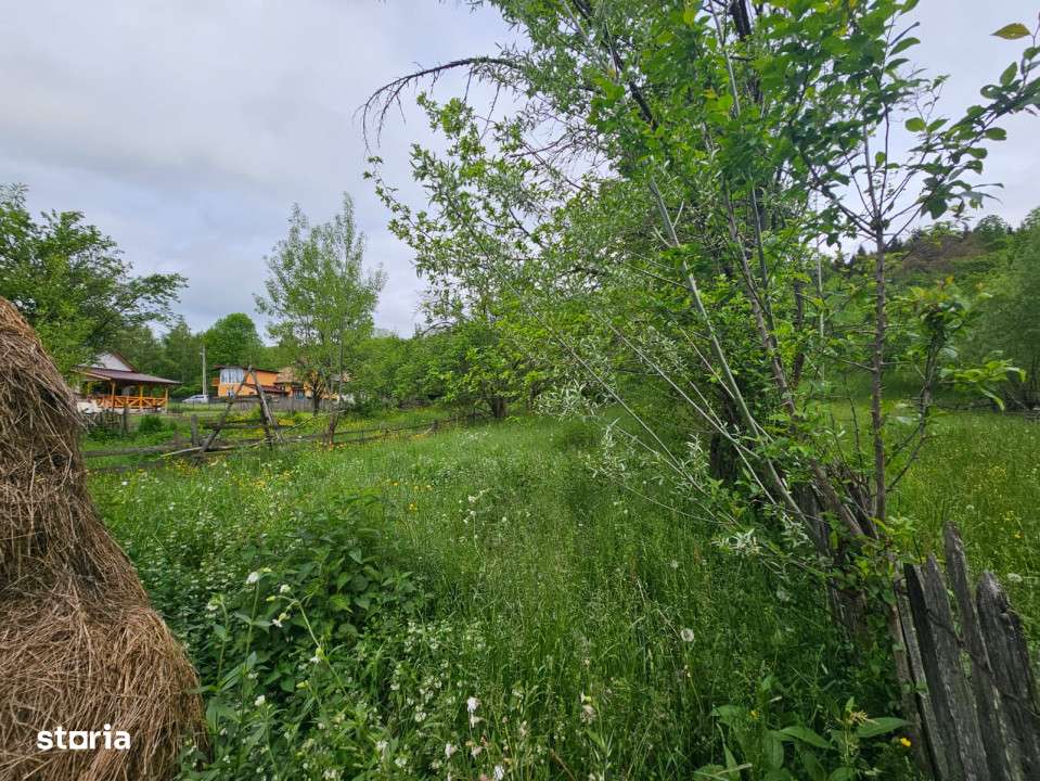 TEREN VANZARE VALEA DOFTANEI - Imagine principală: 4/6