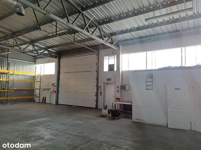 Hala produkcyjno-magazynowa przy Hutniczej - Pełny obrazek: 4/5