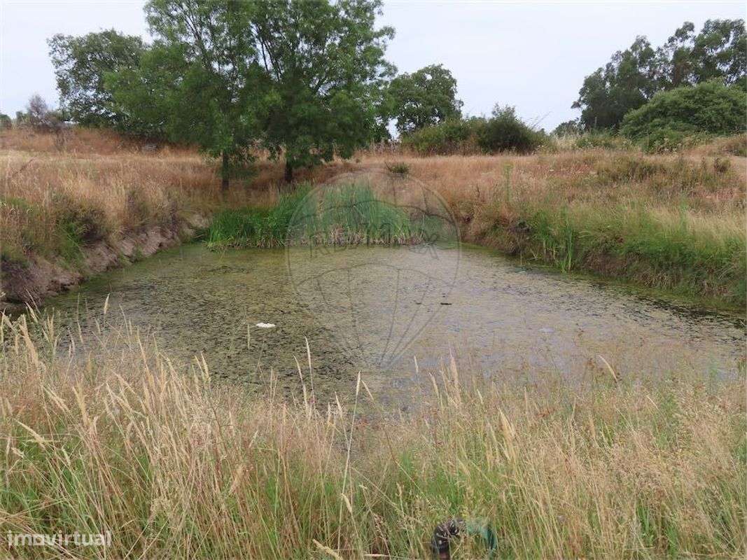 Quinta  para venda - Grande imagem: 2/42