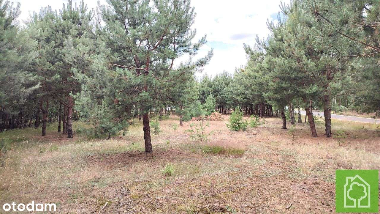 Działka, 1 008 m², Skudzawy-5