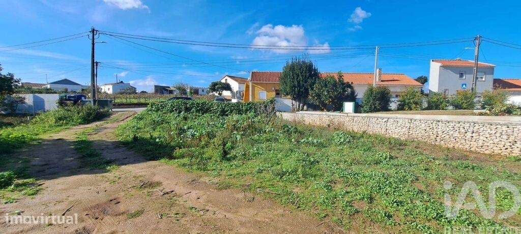 Terreno para construção T3 em Vermelha de 145,00 m2 - Grande imagem: 5/30