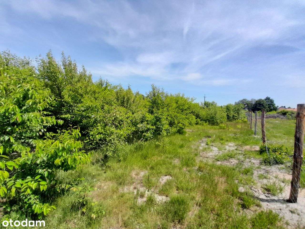 Sprzedam dużą działkę w Żarkach - 18,5a !!!-9