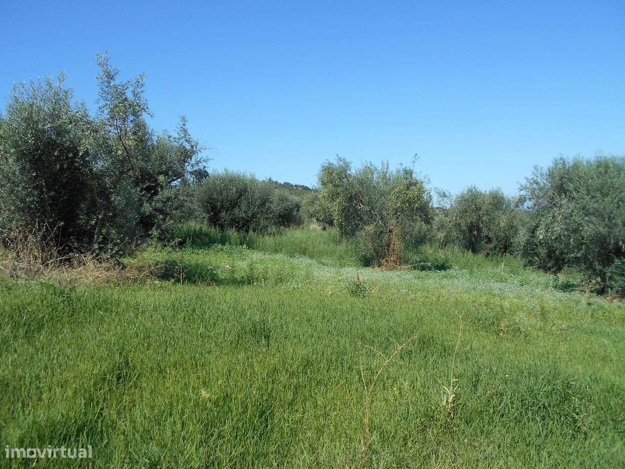 Terreno - Grande imagem: 3/8