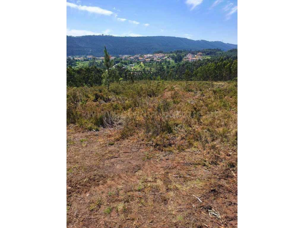 Terreno rústico para venda, Melres-8
