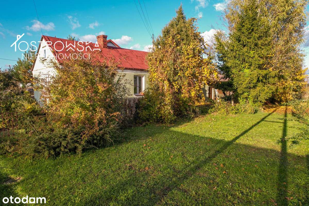 Mały zielony domek/domek gospodarczy/ duża działka - Pełny obrazek: 5/20