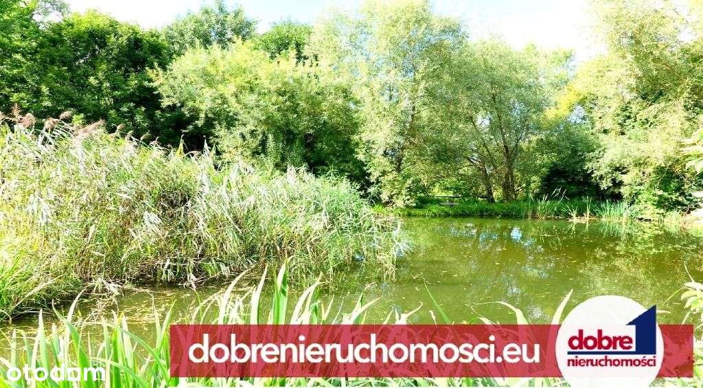 Urokliwa działka, 2358m2, Ostromecko - Pełny obrazek: 4/6