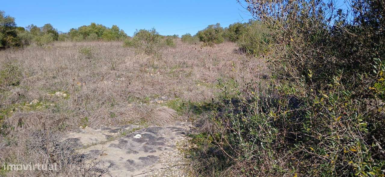 Terreno Rústico - Grande imagem: 2/9