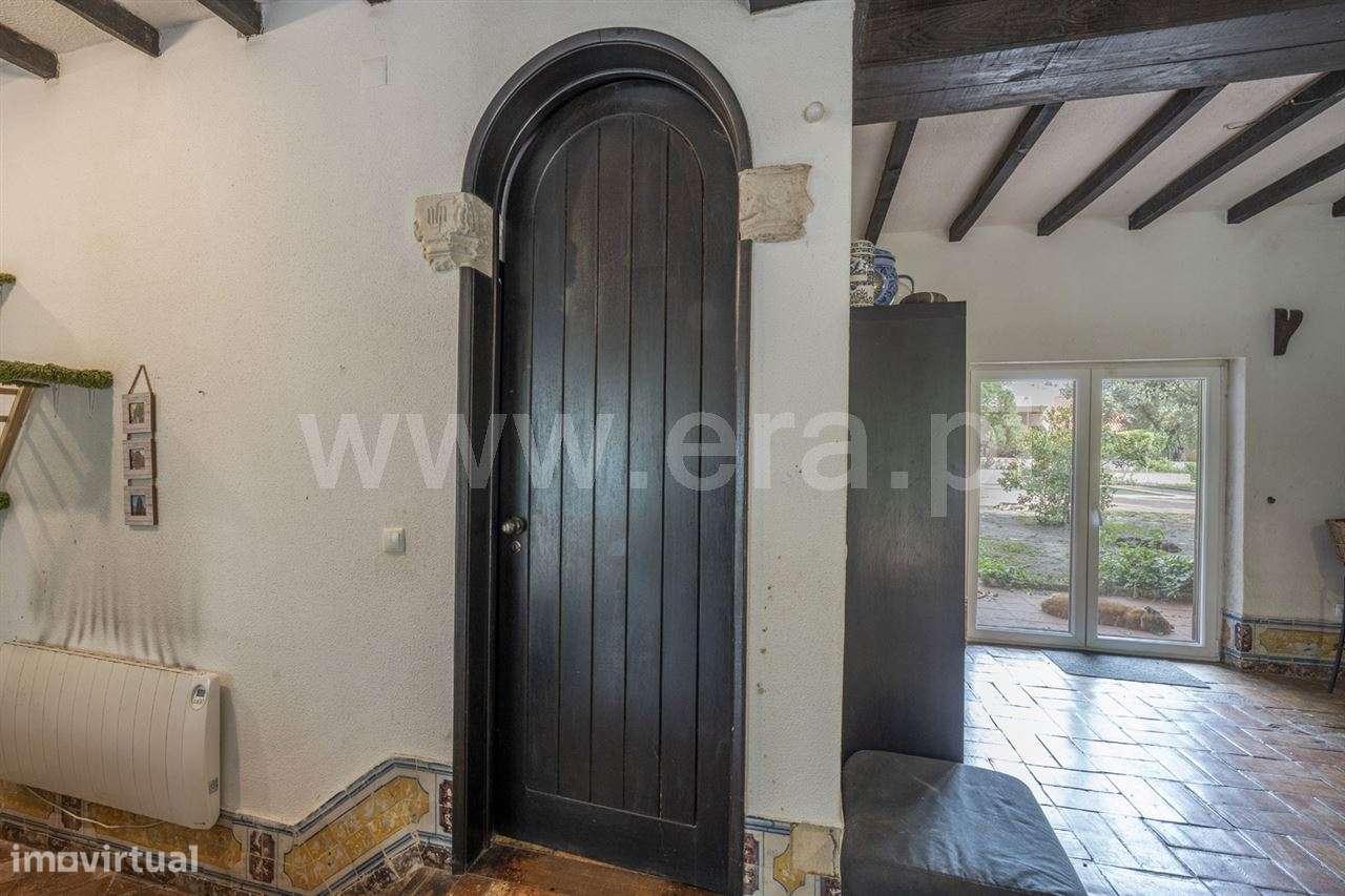 Magnifica Quinta T7; Verdizela-12