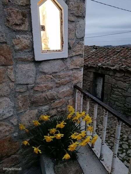 Casa restaurada t2 Penedono - Grande imagem: 5/12