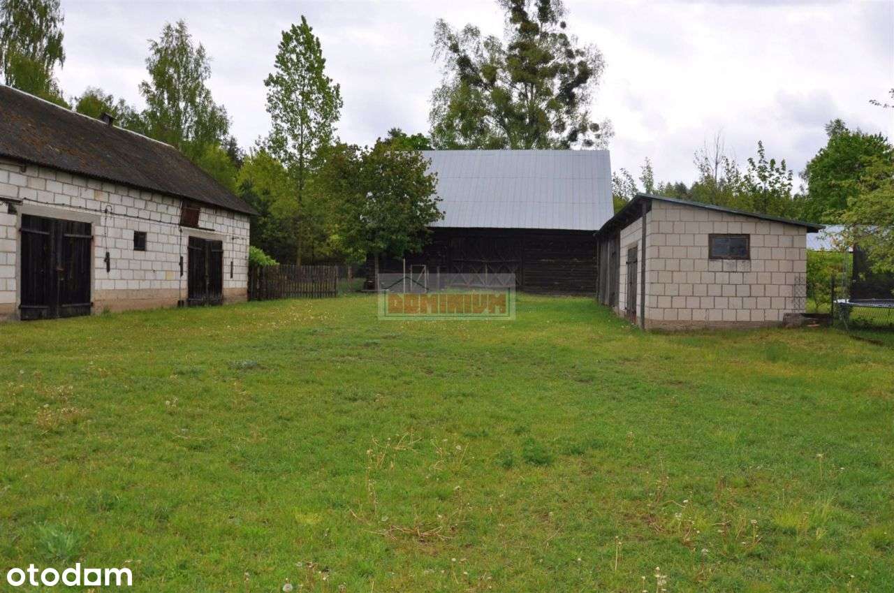 Siedlisko niedaleko jeziora Sajno. - Pełny obrazek: 4/15