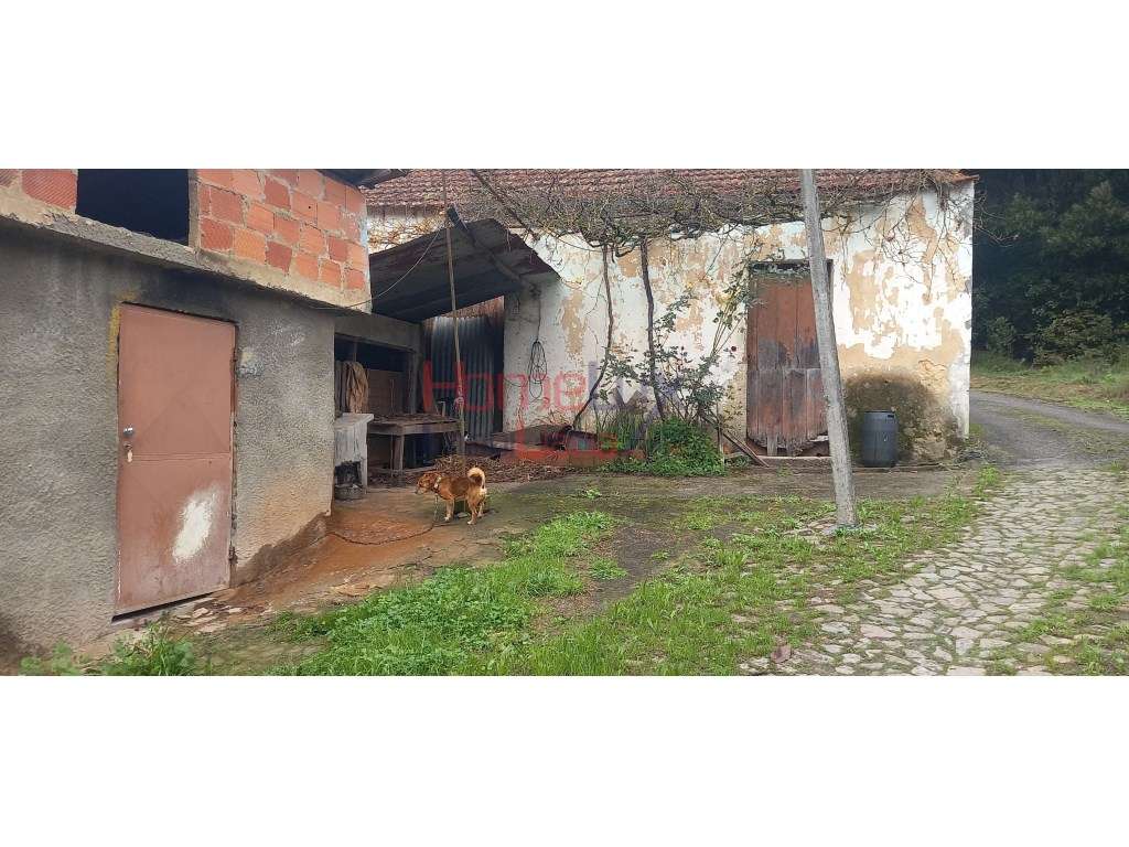 Quinta Rural com moinhos para restaurar - Grande imagem: 5/37