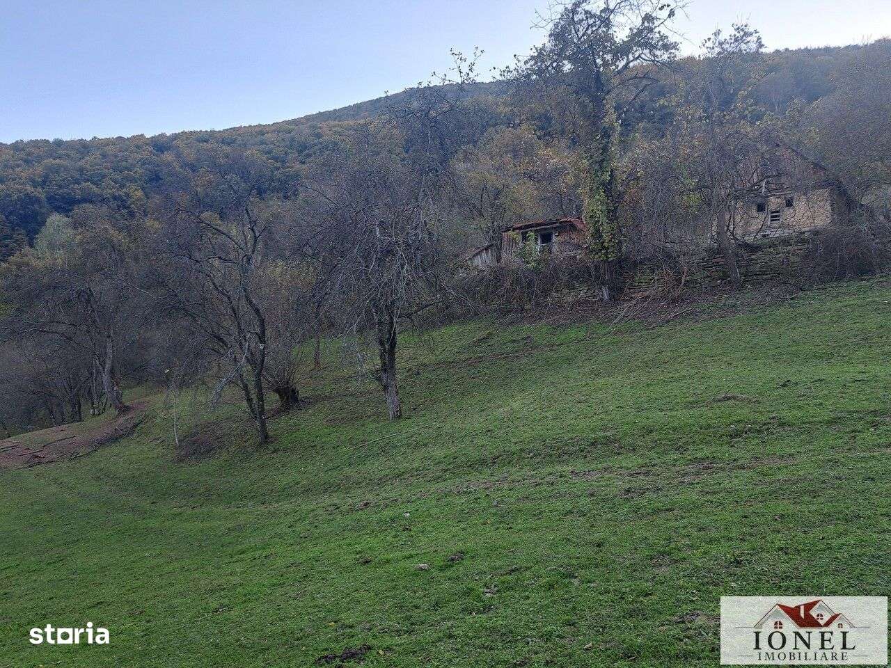 Casa cu 17399 mp teren in Valea Vintului - Imagine principală: 5/12