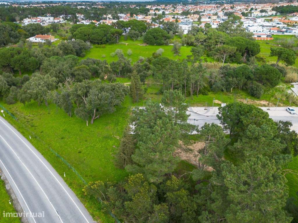 'Casa do Bosque': Terreno Urbano de 1 Hectare em Azeitão - Onde o L... - Grande imagem: 3/27