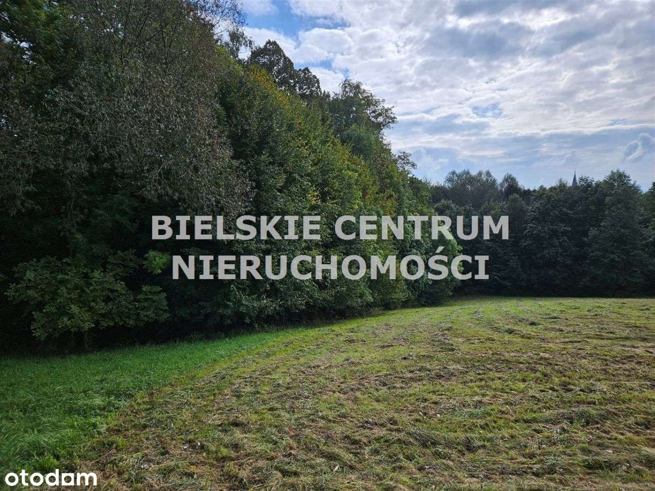 Działka, 13 942 m², Mazańcowice-8