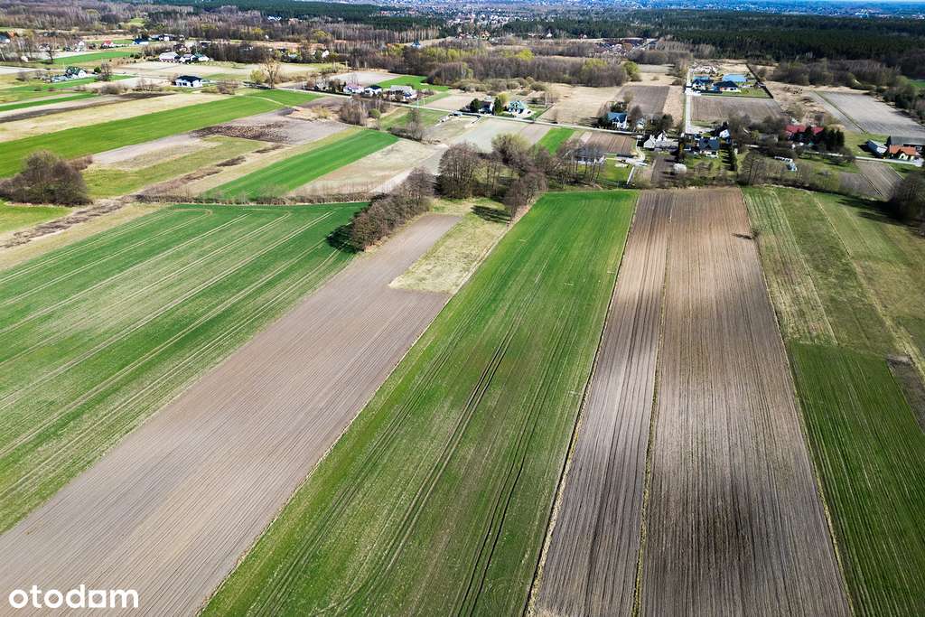 Działki w Gębarzowie - Pełny obrazek: 3/8