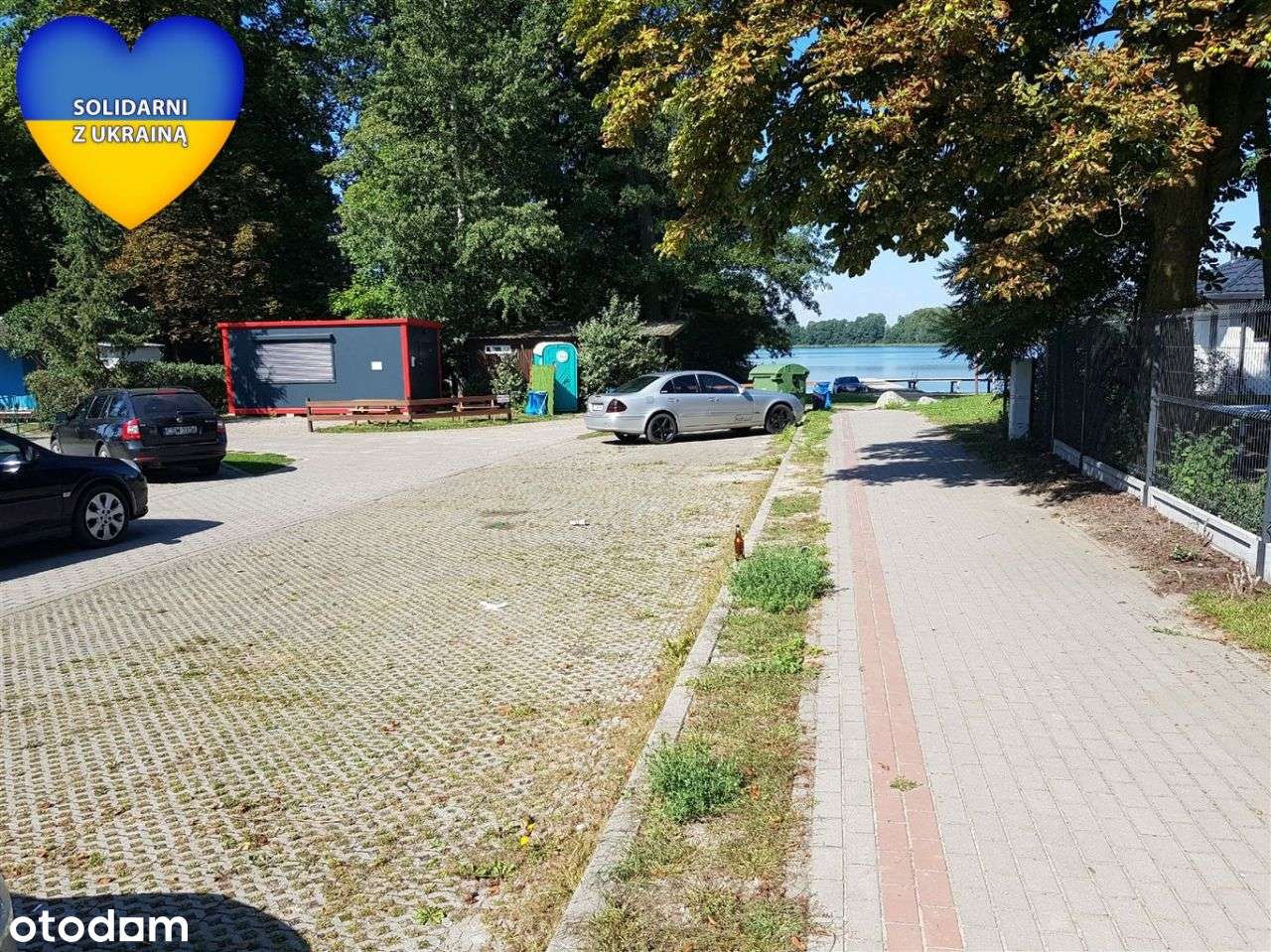 Działka Ostrowite, Bory Tucholskie - Pełny obrazek: 4/4