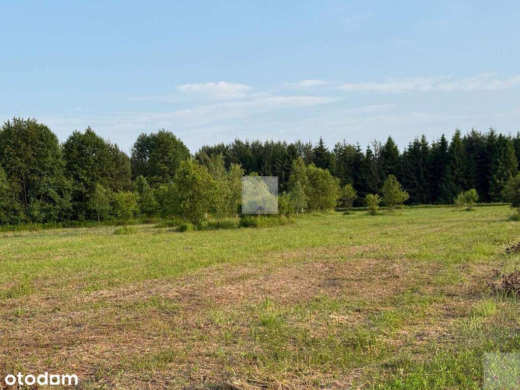 Działka rekreacyjna | WZ | Cienkie-6