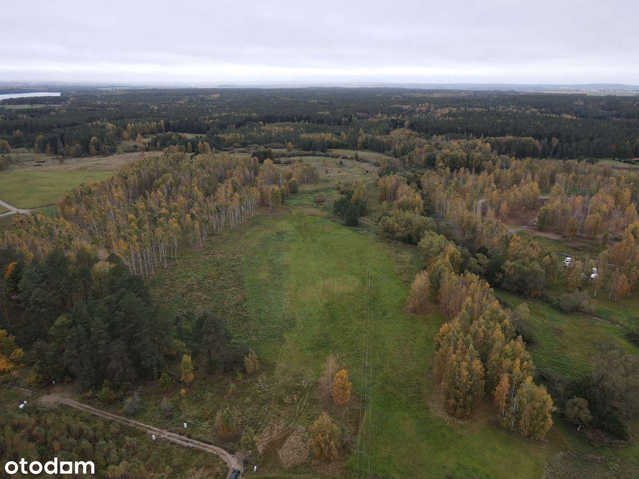 Leśny Zakątek Skorupki - działka pod lasem - SWJM - odlicz VAT 23%-6