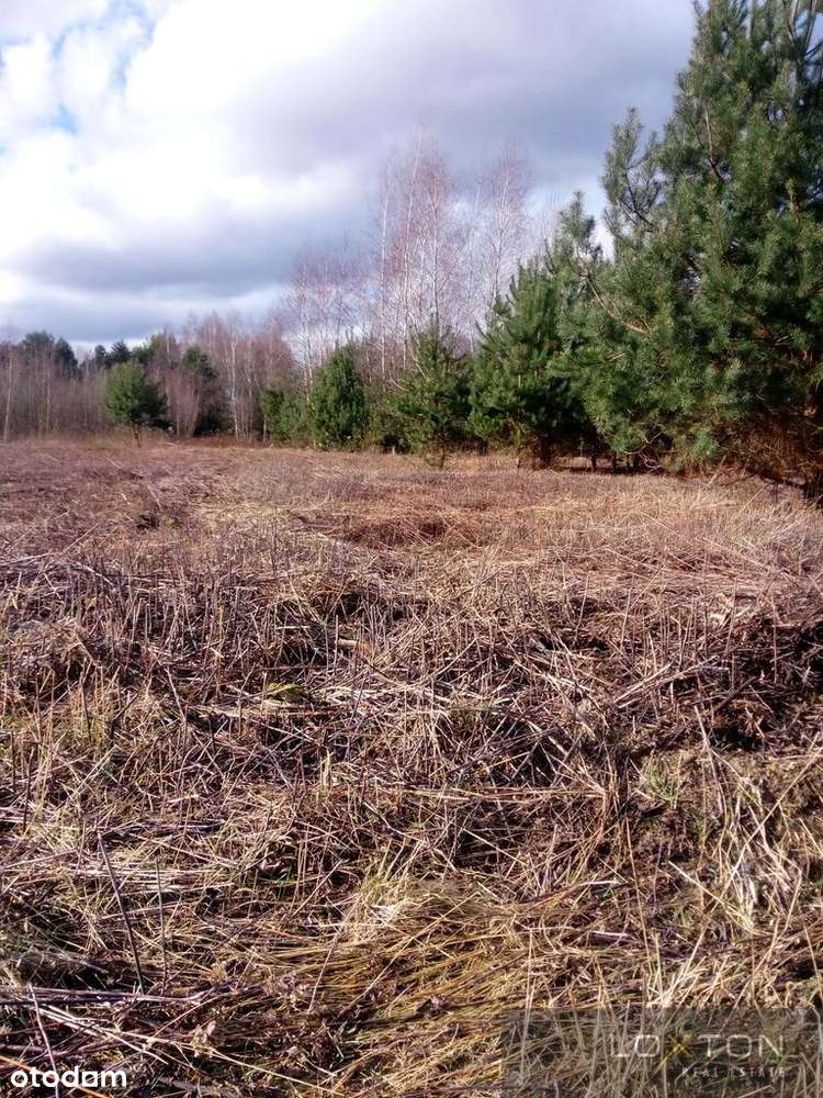 235tys. Nowe Grobice dz.bud.2082m z planem-3