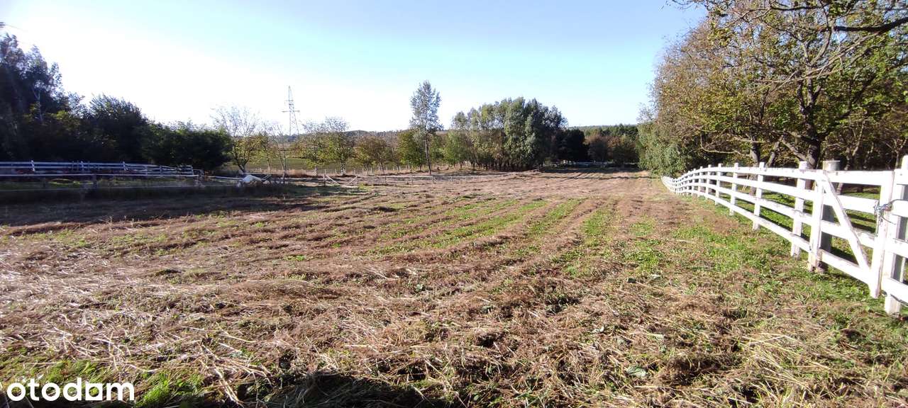 Działka budowlana w Maleniskach (13 ar), warunki zabudowy, media - Pełny obrazek: 2/10