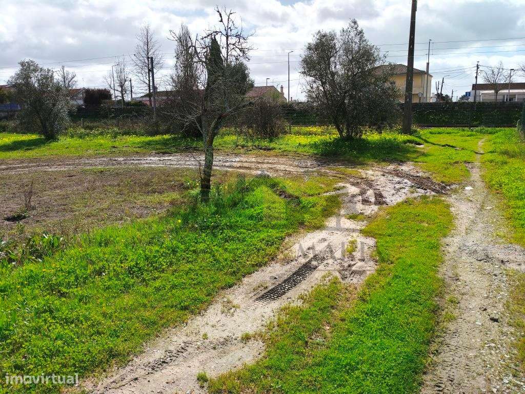 Vendas Novas - Lote de terreno - Grande imagem: 4/8