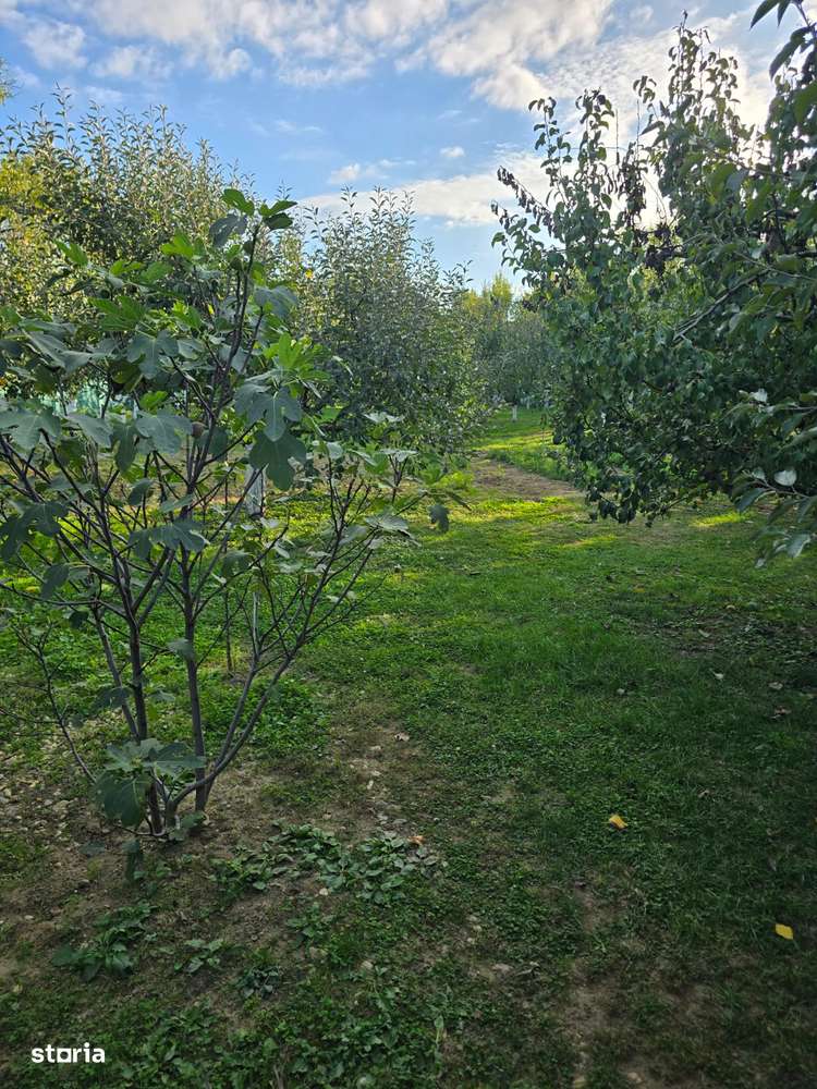 Casă în Cărășeu-18