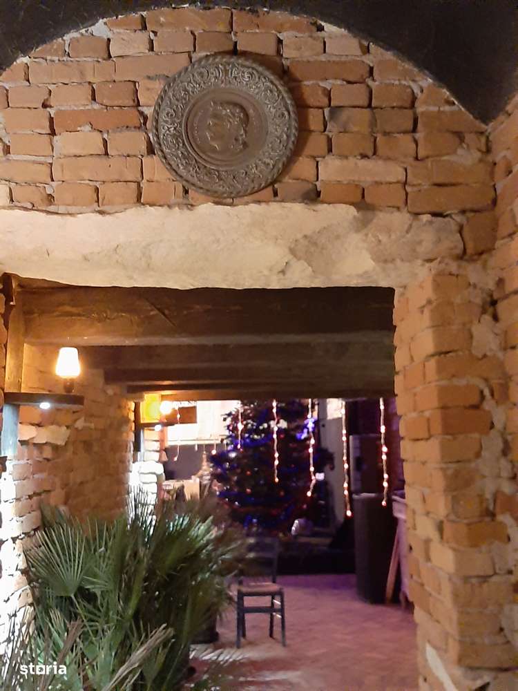 Spatiu comercial-Restaurant plaja salbatica Vadu-11