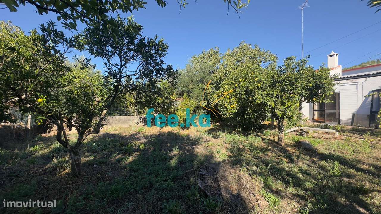 Quintinha T1 em Palvarinho-5