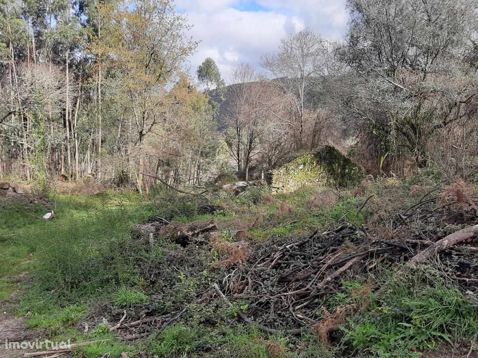 Moradia em ruinas com 2.000m2 de terreno aprox.