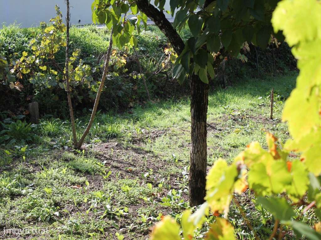 Terreno rústico na zona da Vila de Arganil com uma localização de e... - Grande imagem: 2/12