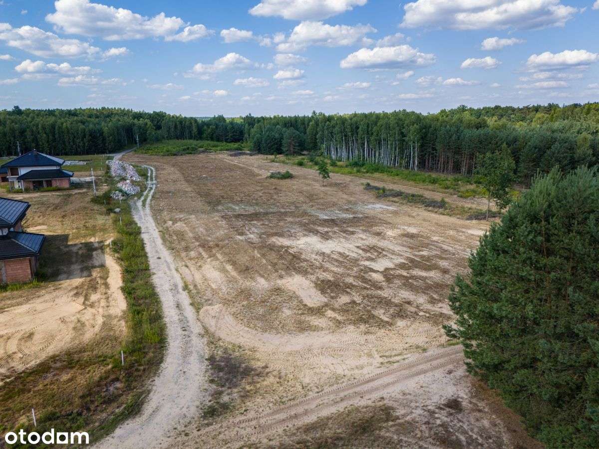 Otoczenie lasu | Cicha okolica | Mpzp | Inwestycja-1