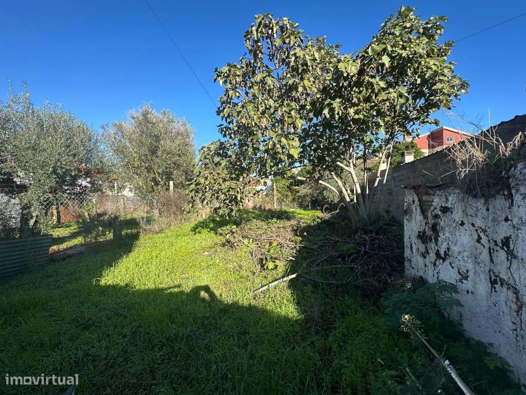 Moradia tipologia T2 - Grande imagem: 4/11