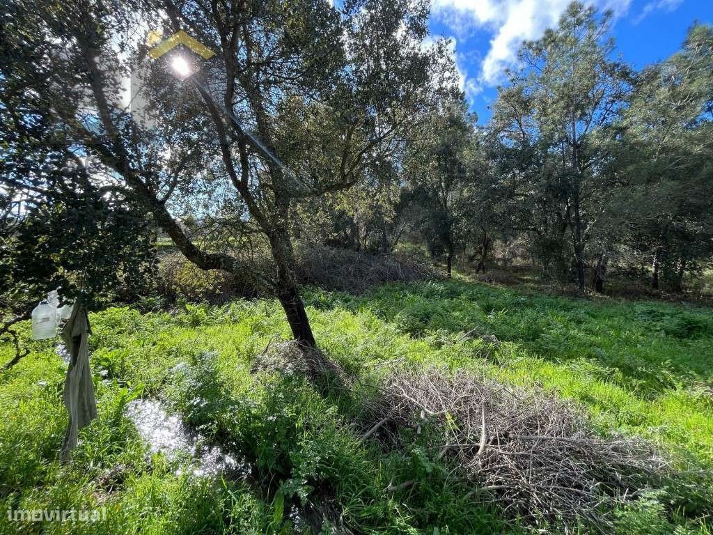 Terreno rustico com 4.120m2 para venda em Palvarinho! - Grande imagem: 5/14